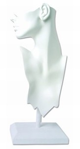 JEWELRY DISPLAYS