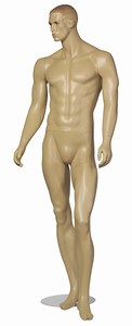 STEVE