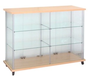 Glass Boutique Case