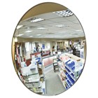 Convex Security Mirror