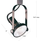 GIMBAL PAR30