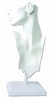 White Bust