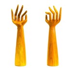 Natural Hand Display