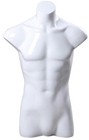 White Gloss Male Torso Display Form