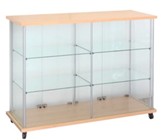Glass Boutique Case