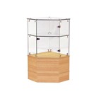 HALF VISION PENTAGON CORNER CASE WITH SWING DOOR & LOCK MAPLE