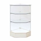 FULL VISION PENTAGON CORNER CASE WHITE