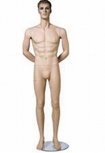 Julian / Arms Behind Back  - Male Mannequins with Molded Hair